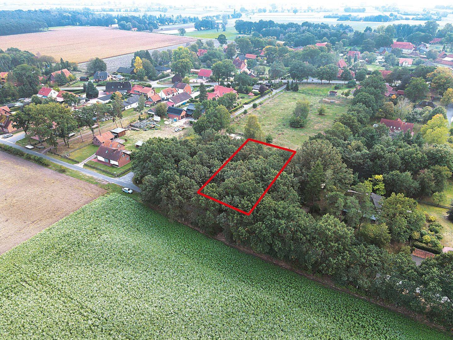 Waldgrundstück in 29693 Böhme Altenwahlingen, Altenwahlingen, 29693 Böhme