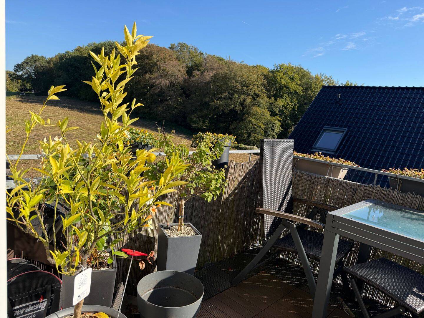 *Helle, großzügige Dachgeschosswohnung mit Garage und Stellplatz in ruhiger Lage von Leverkusen Edelrath, 51375 Leverkusen (Schlebusch)