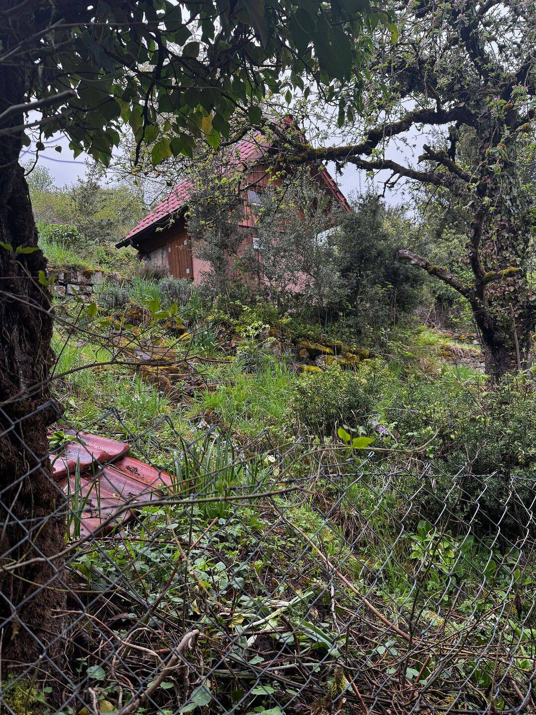 Gartengrundstück zu verkaufen, Höhenlage S-Wangen, traumhafte Aussicht, Spätzle Immobilien, 70327 Stuttgart