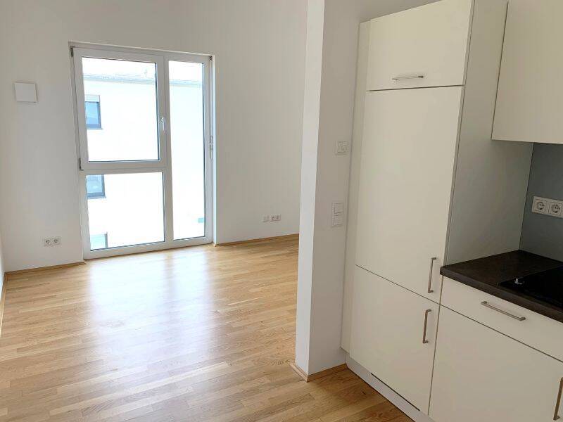 Modernes 1-Zimmer-Appartement sucht neuen Mieter, 93055 Regensburg (Brandlberg-Keilberg Burgweinting-Harting Innenstadt Ostenviertel Schwabelweis)