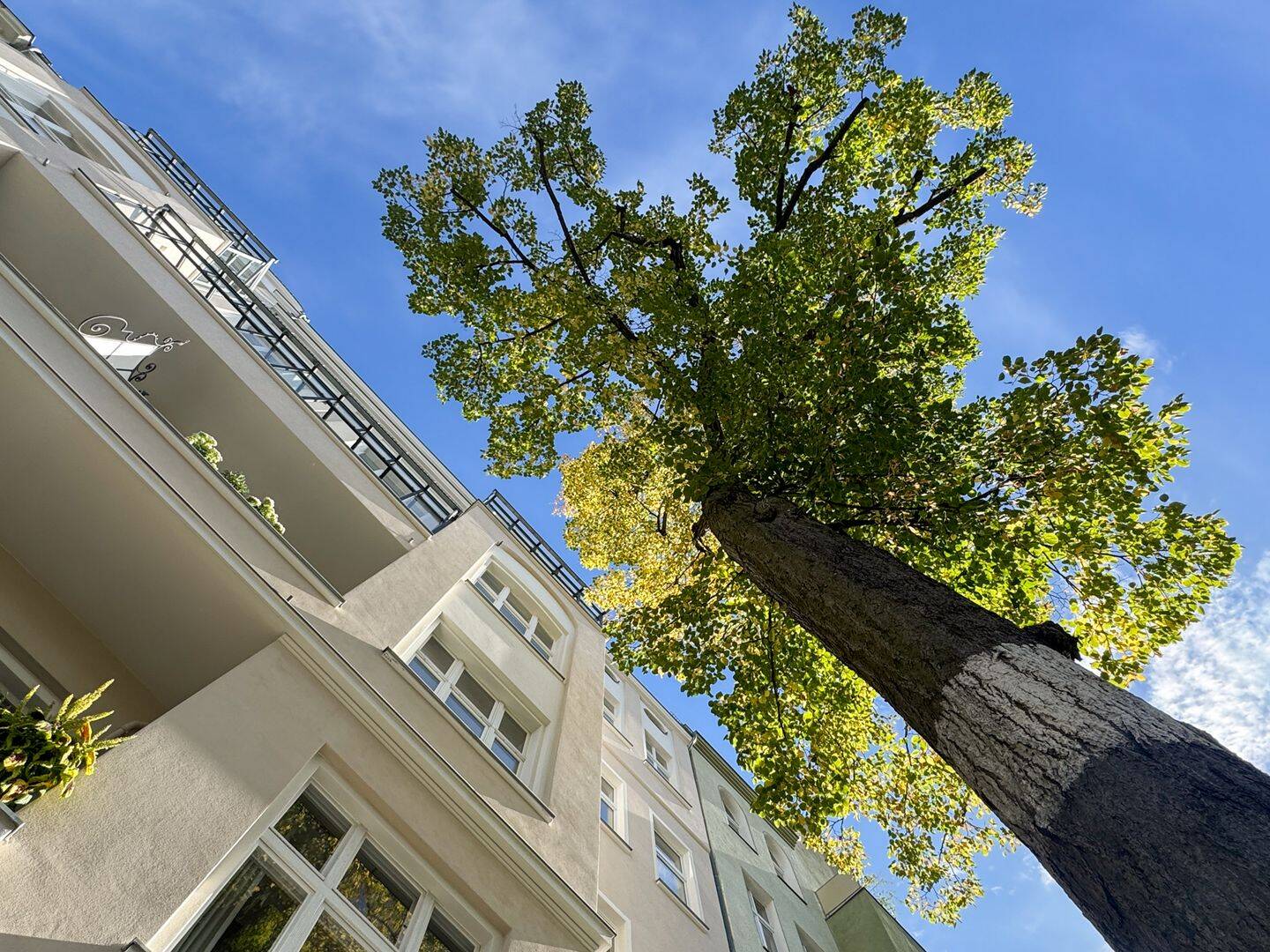 Bezugsfreie Altbauwohnung mit Maisonettecharakter und zwei Badezimmern, 10711 Berlin (Charlottenburg-Wilmersdorf Charlottenburg Grunewald Halensee Wilmersdorf)