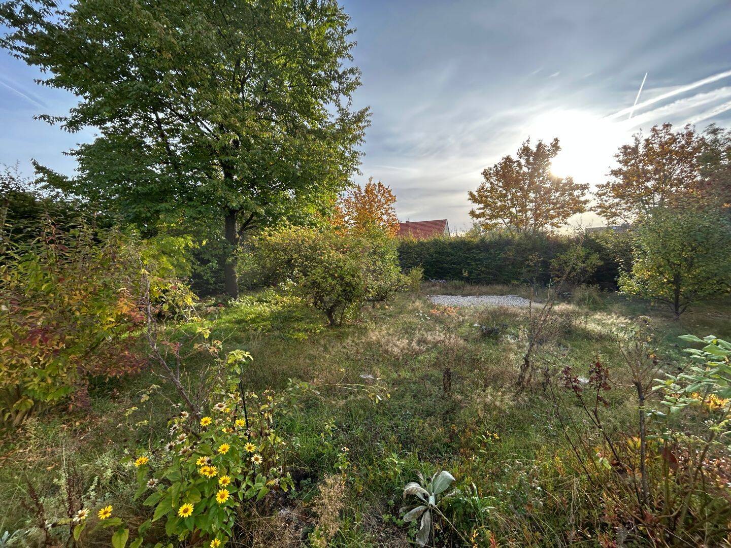 Attraktives Baugrundstück in Fredersdorf-Vogelsdorf – ca. 896 m² für Ihre Wohnträume, 15370 Fredersdorf-Vogelsdorf