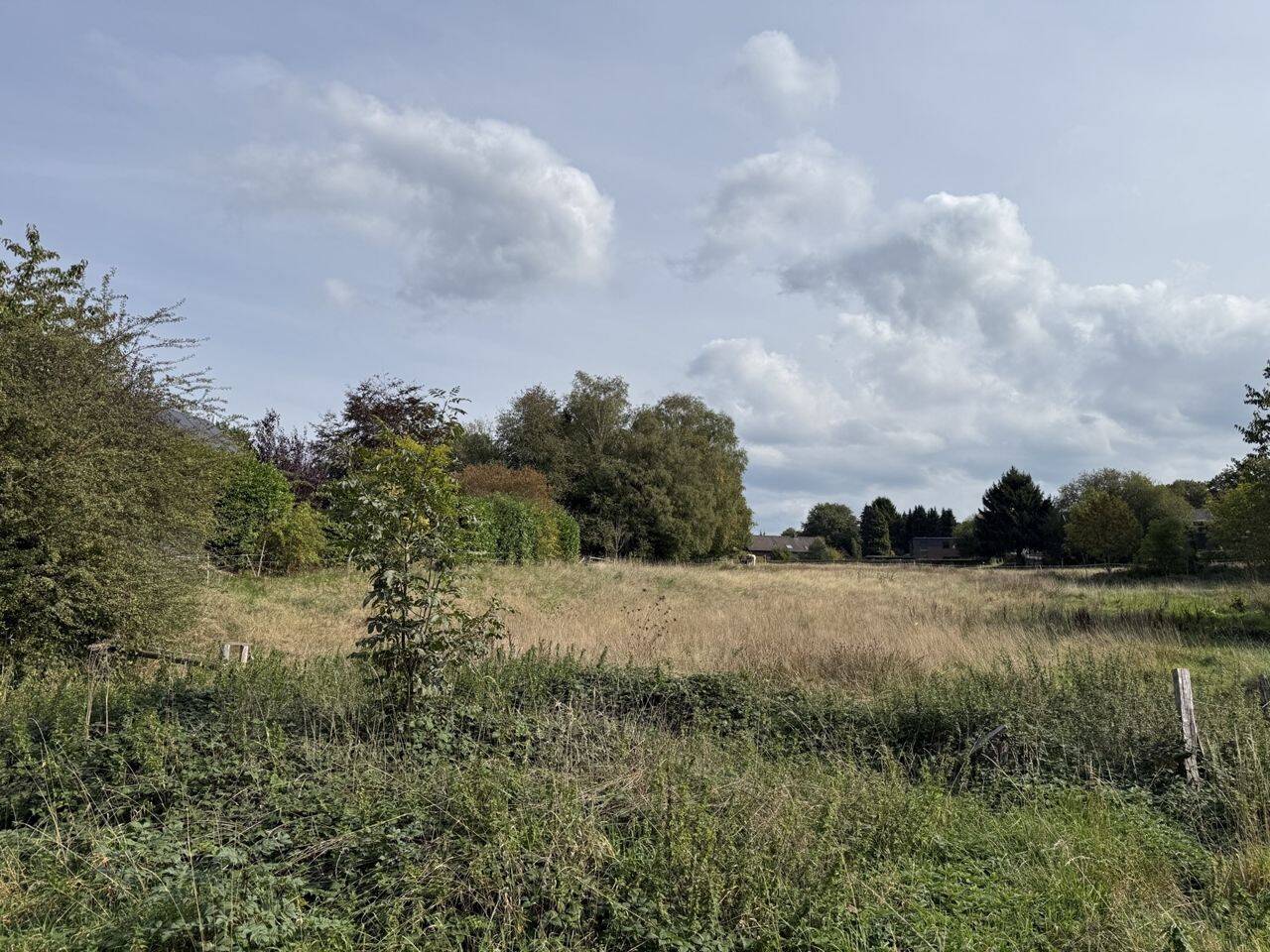 Großzügiges Baugrundstück in Roetgen – komplett oder als Teilfläche erhältlich, 52159 Roetgen