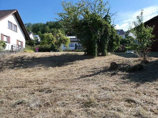 Grundstück, in Stockach, 78333 Stockach