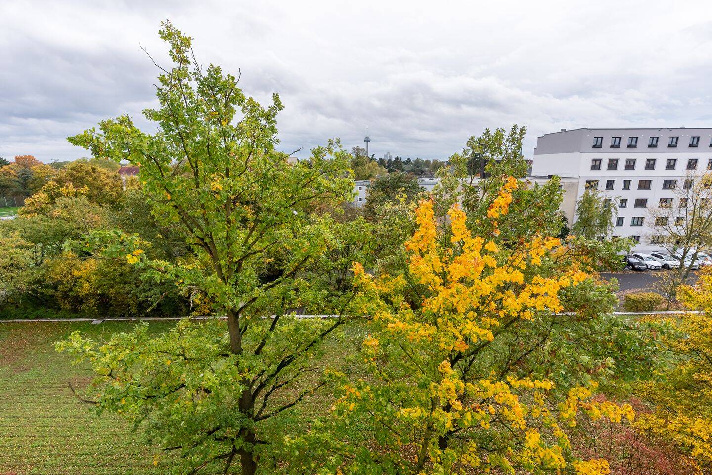 Bild 4
