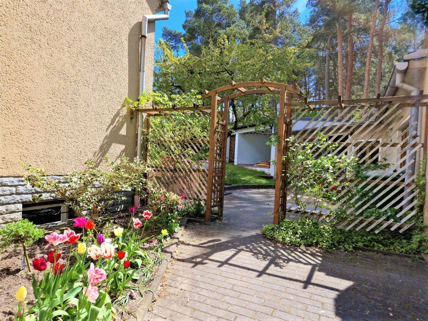 Bild 11