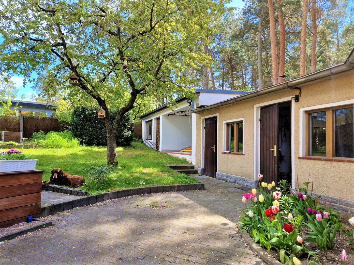 Bild 12