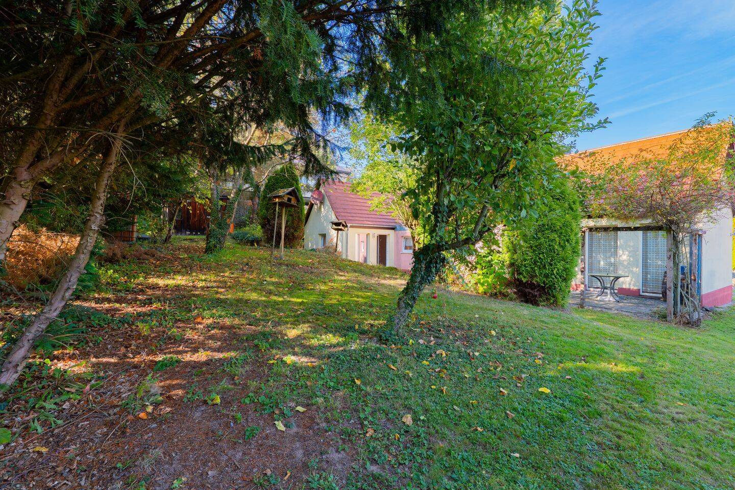 Bild 11