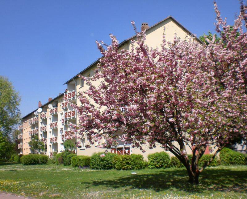 Bild 7