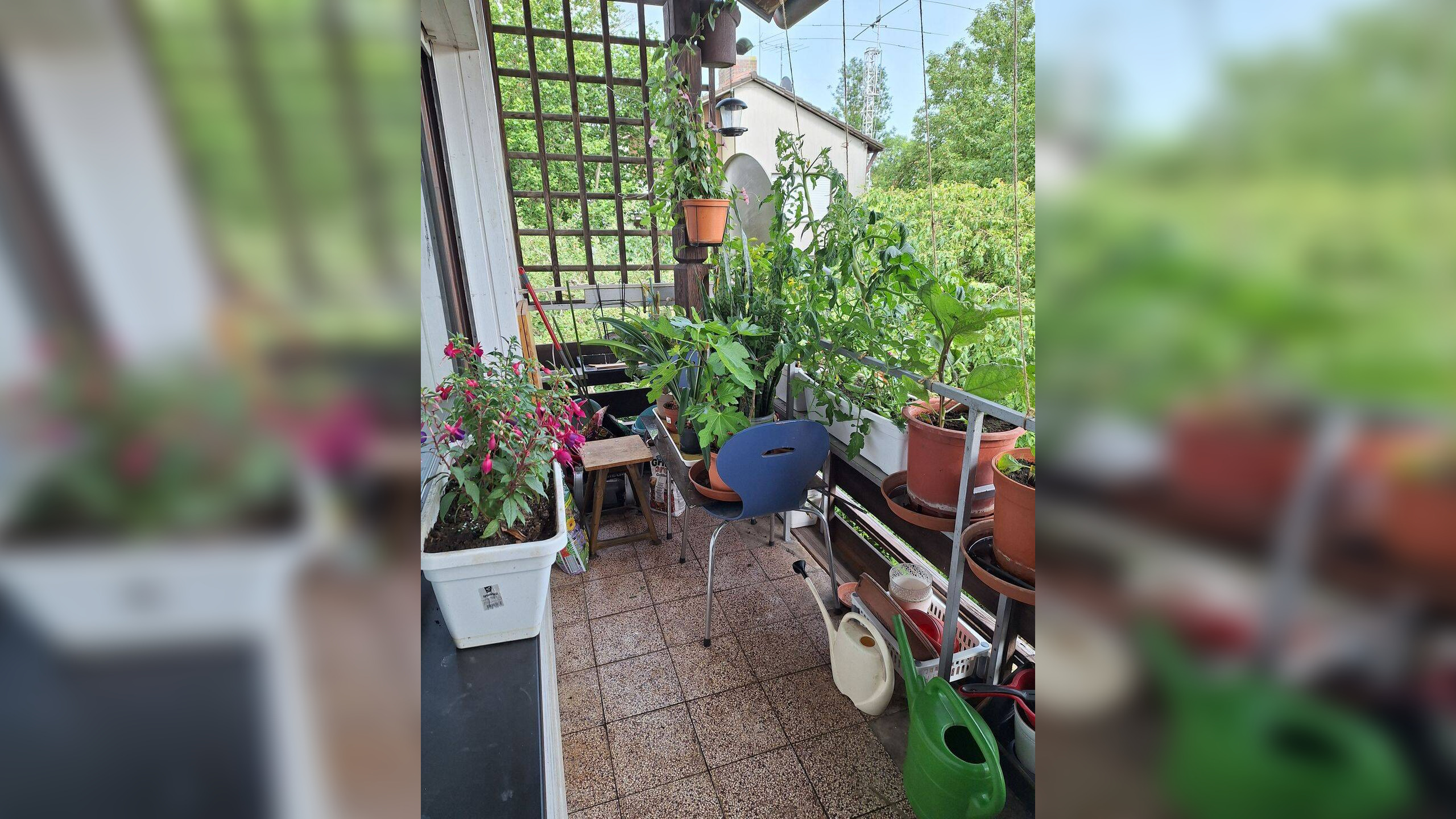 Bild 6
