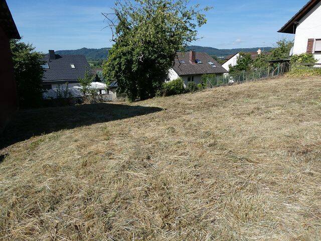 Bild 7