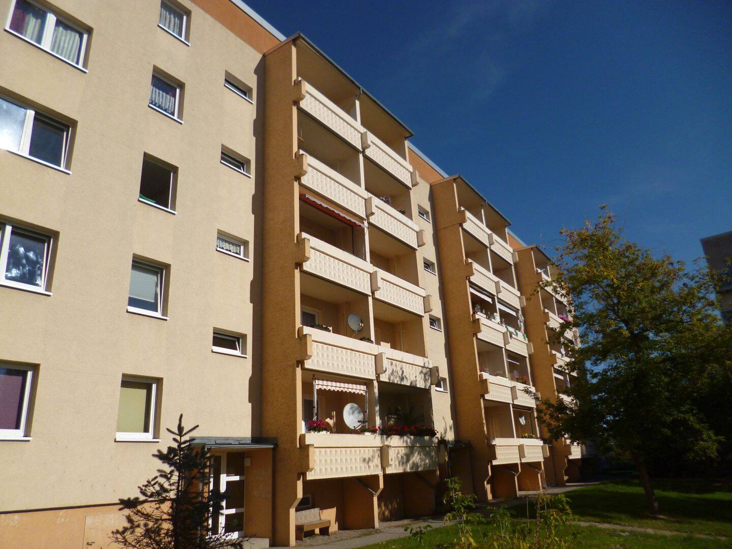 Bild 4