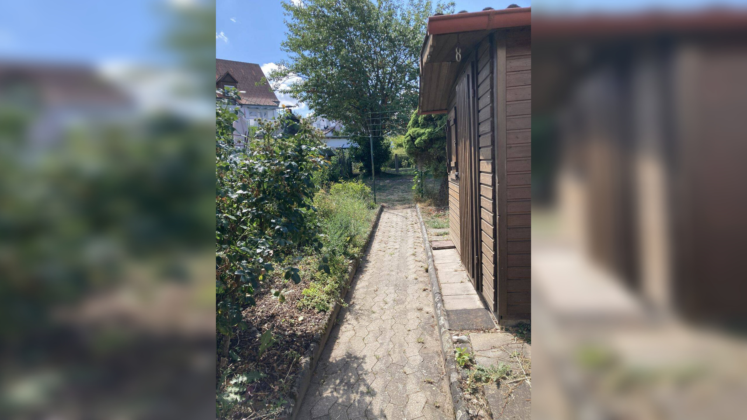 Bild 6