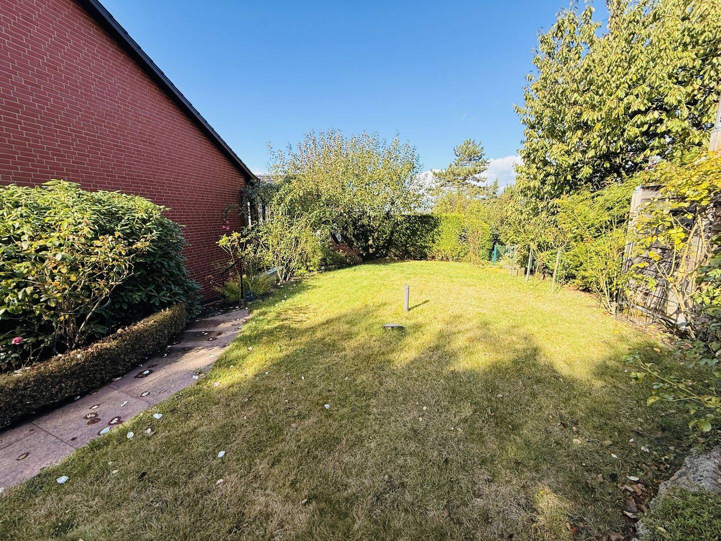 Bild 11