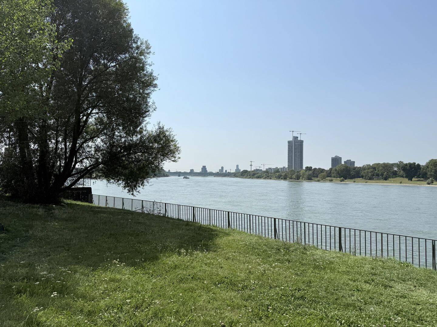 Bild 8