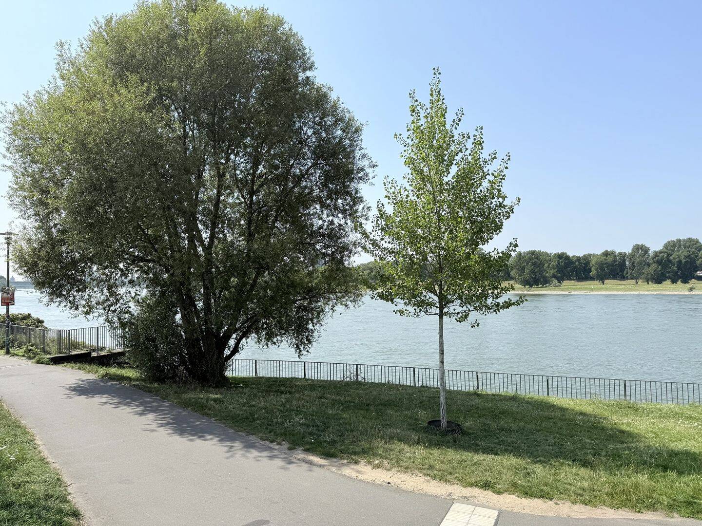 Bild 9