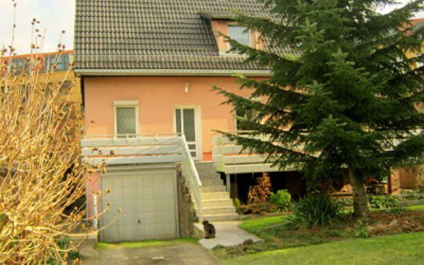 Bild 7