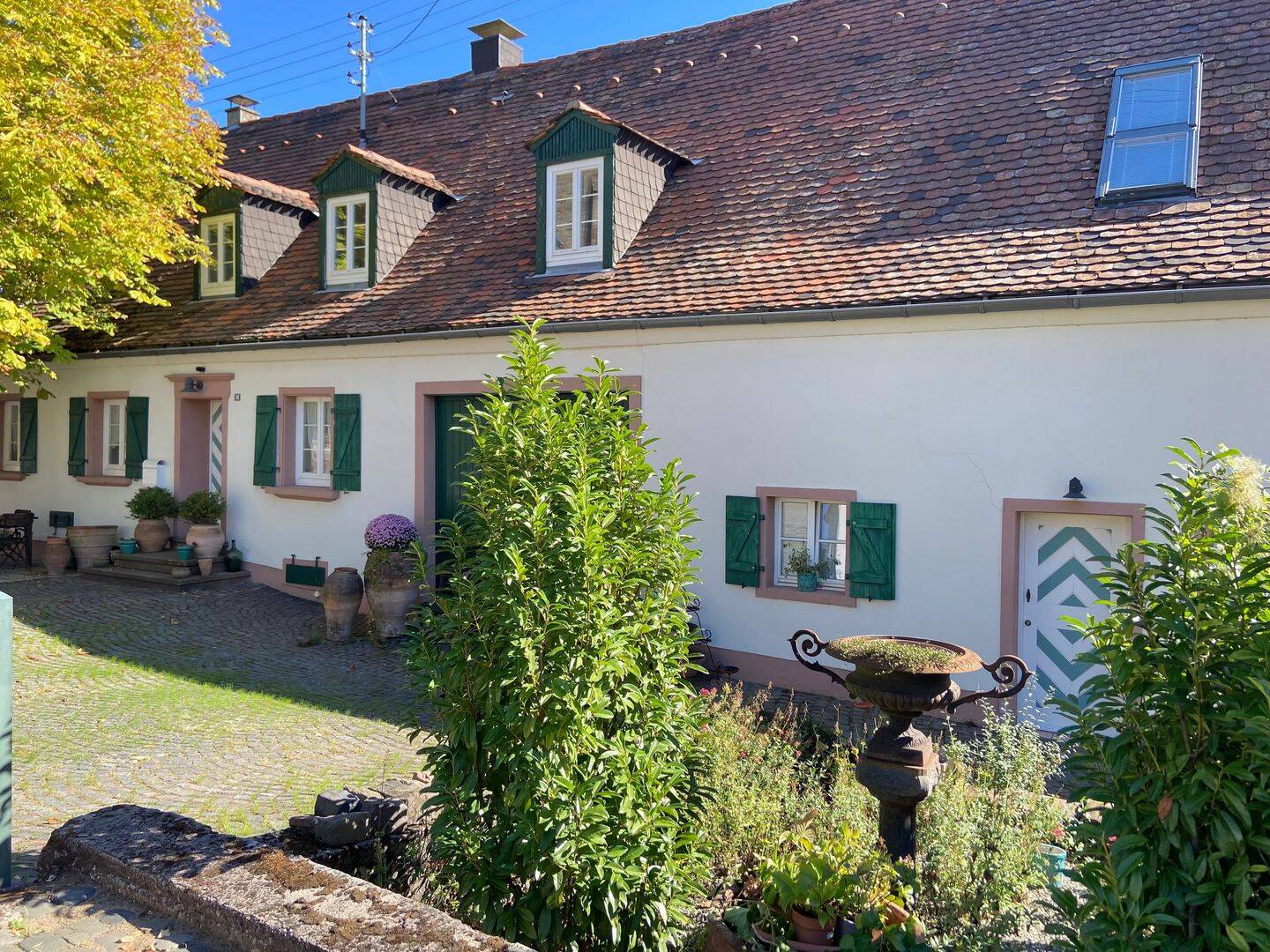 Bild 4