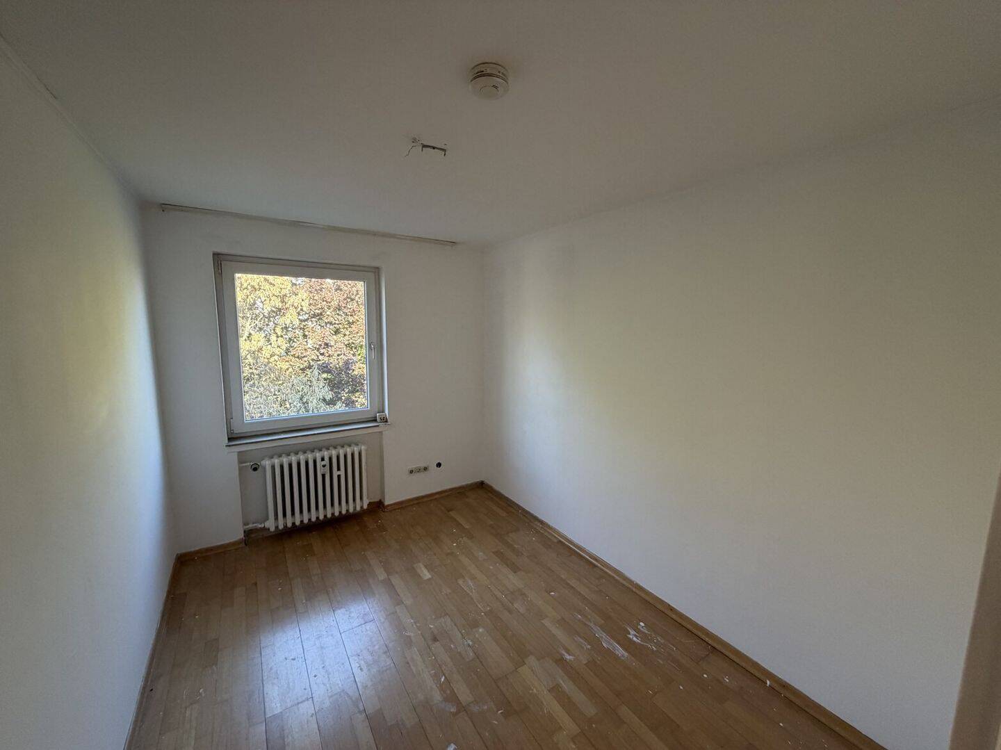 Bild 12