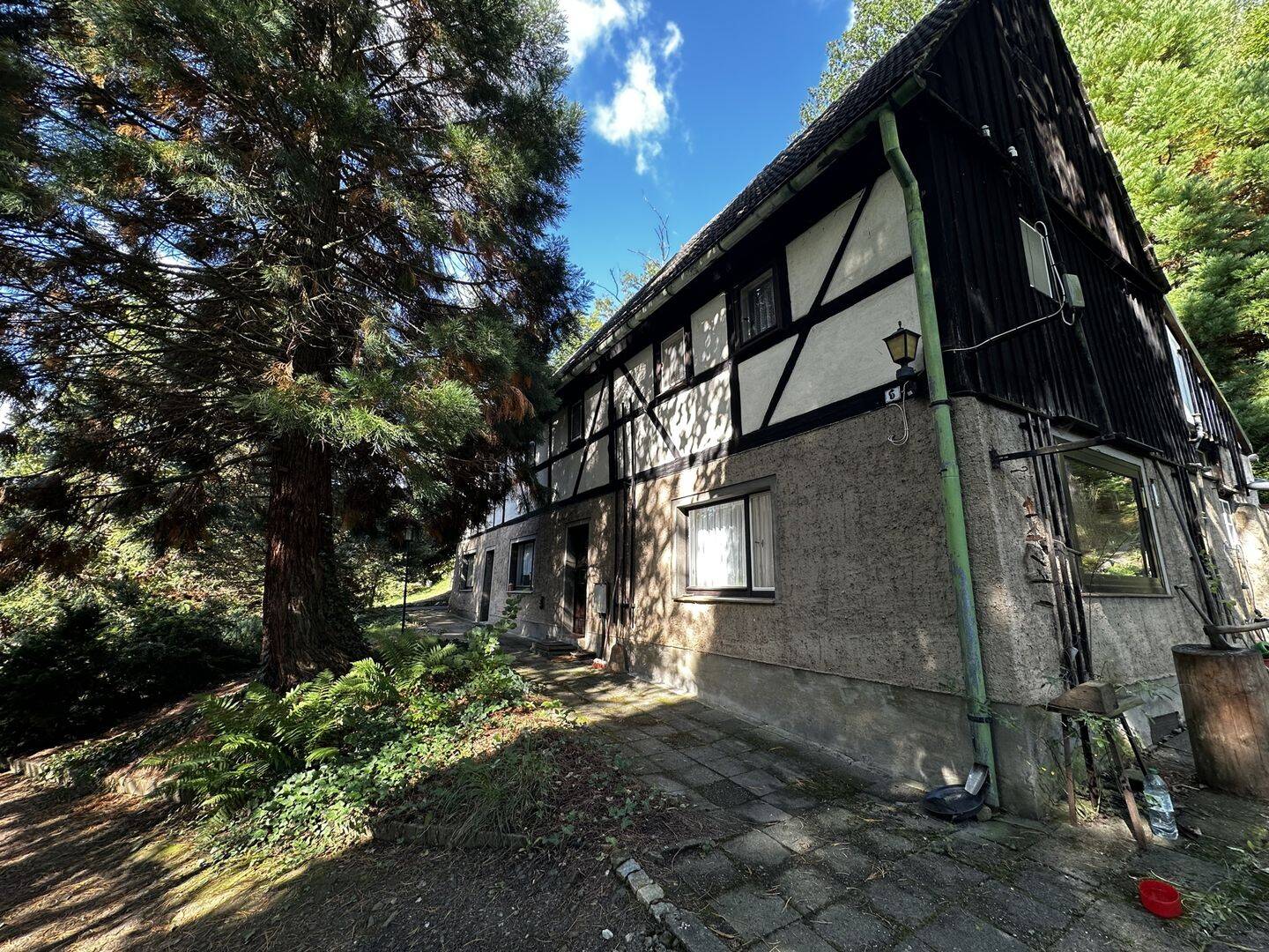 Bild 8