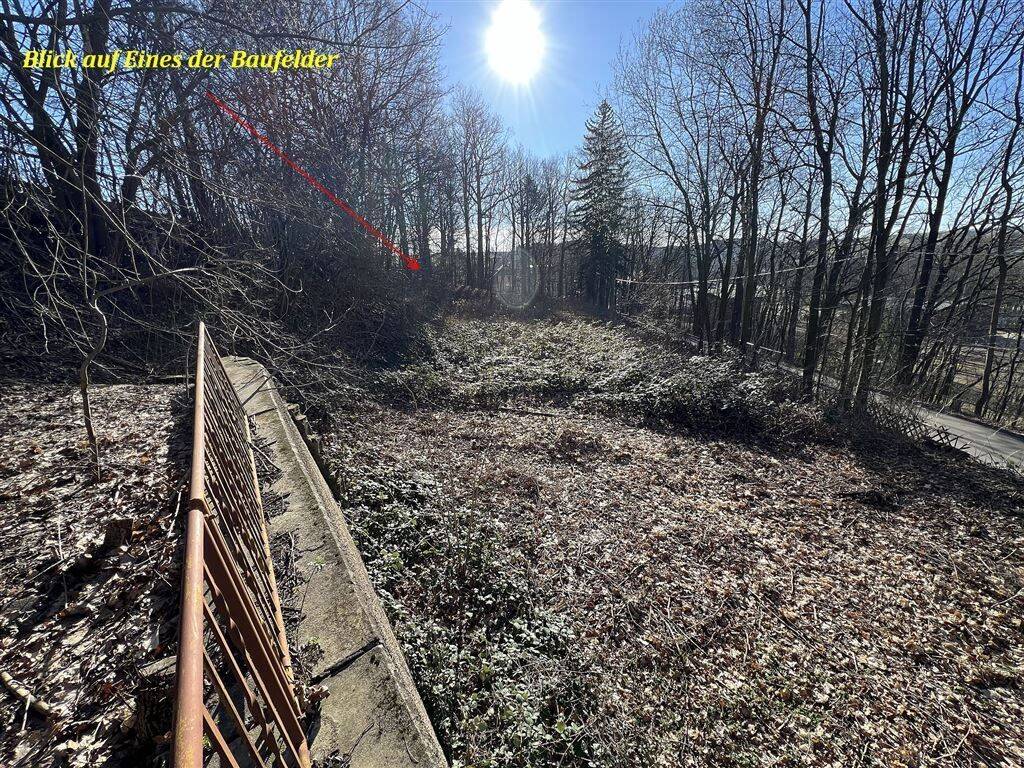 °°°Natur pur erleben und doch so nah bei Chemnitz – einmalig die 4 Baugrundstücke!°°°, 9236 Claußnitz