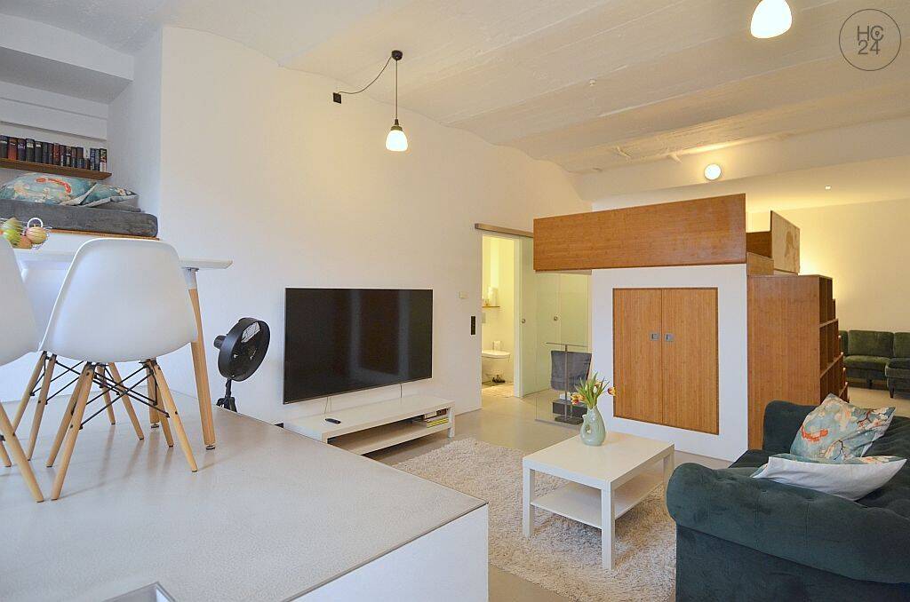 Exklusive möblierte 1,5-Zimmer Loftwohnung mit PKW-Stellplatz in Mainz Finthen, 55126 Mainz (Finthen Layenhof)