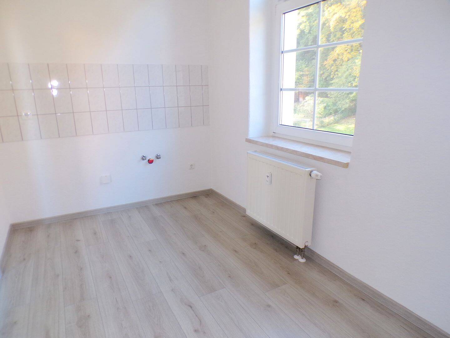 Kleine 3 Zimmer Wohnung in Zwickau zu vermieten!!, 8060 Zwickau