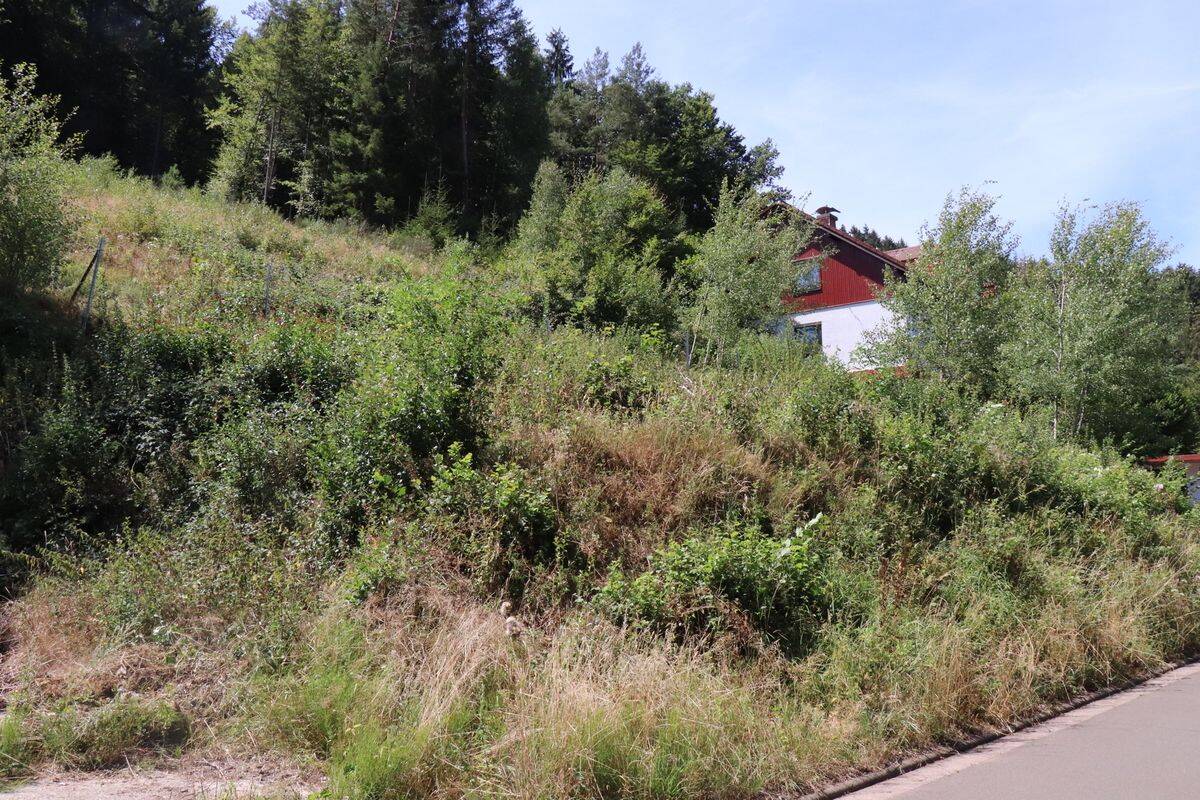 Baugrundstück mit Waldanteil in 66851 Horbach zu verkaufen!, 66851 Horbach