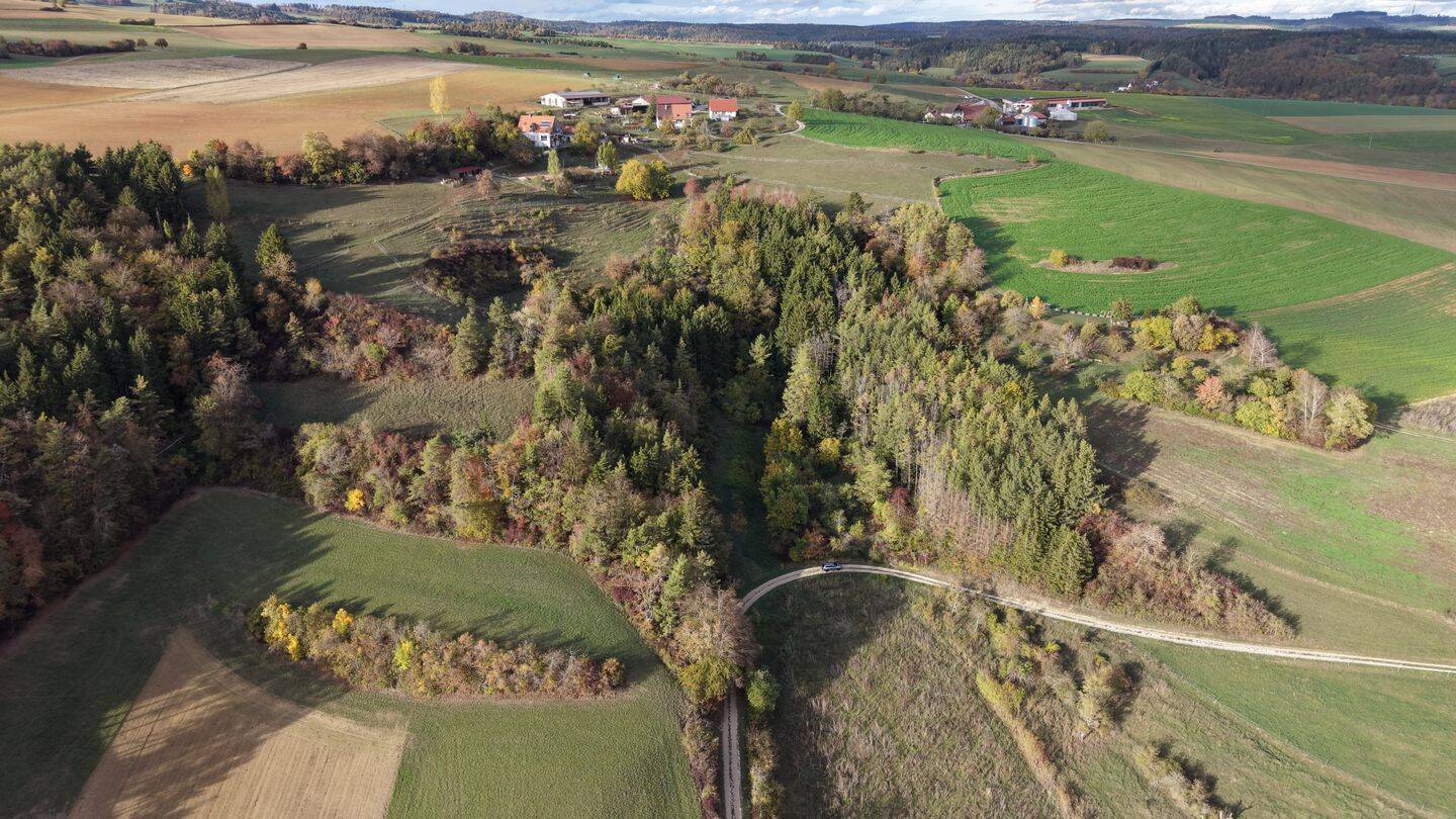 Wald zu verkaufen, 78234 Engen