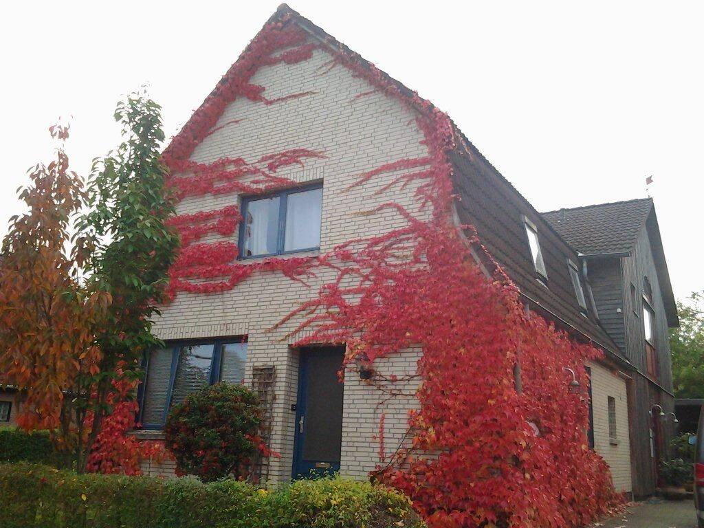 Sehr gut gelegene, ruhige Maisonettewohnung mit Garten, 24582 Wattenbek