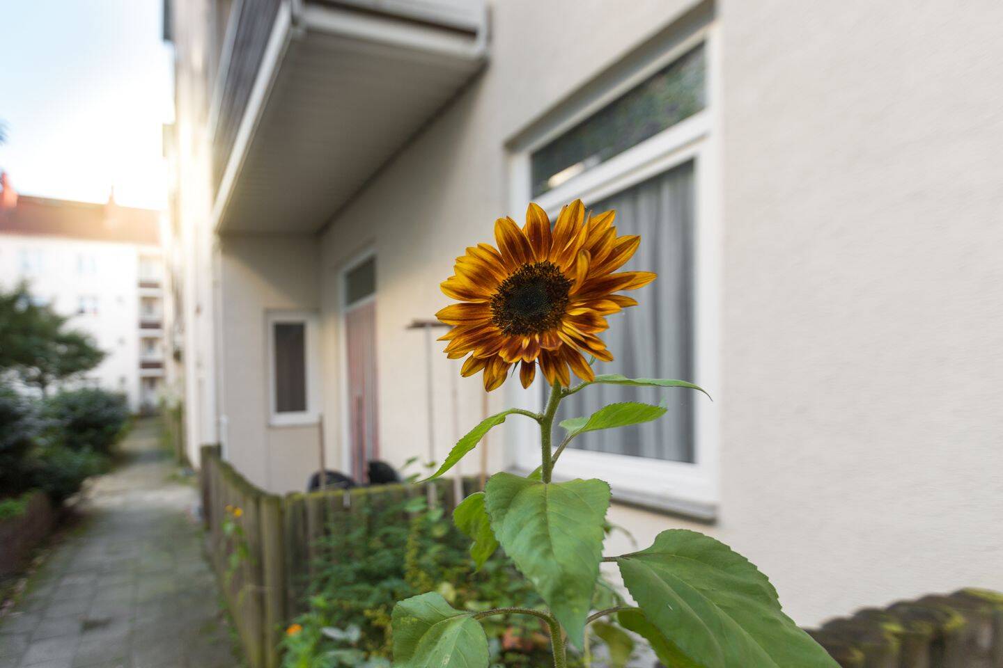 Gepflegte 3-Zimmer-Wohnung im Erdgeschoss mit Terrasse in BRemerhaven-Geestemünde, 27570 Bremerhaven (Geestemünde)