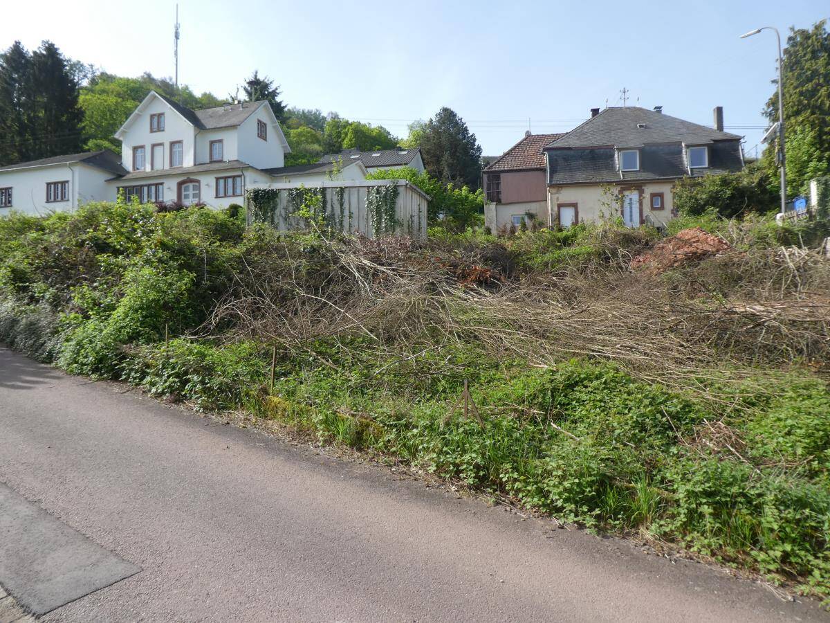 Bild 8