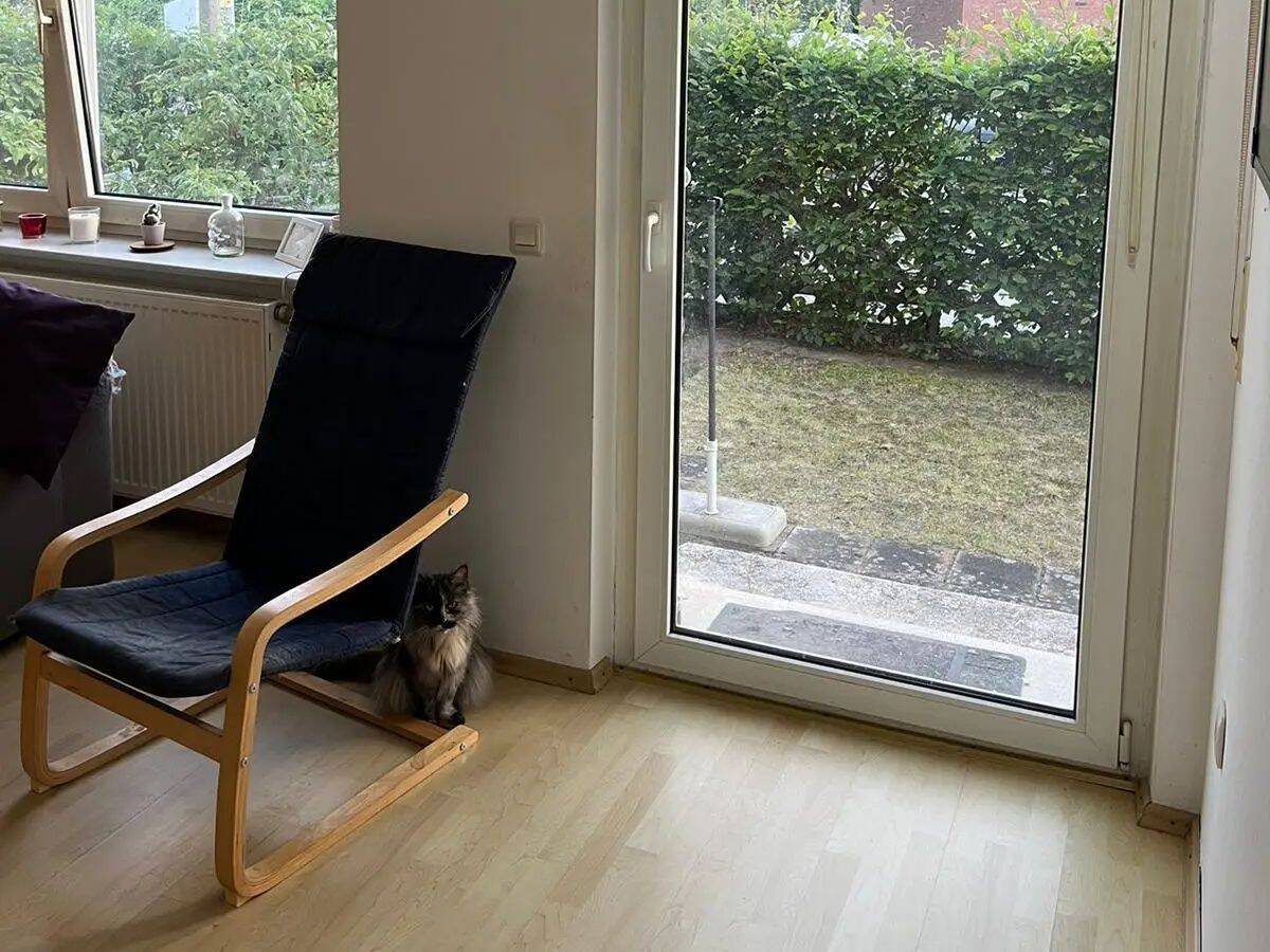Bild 7