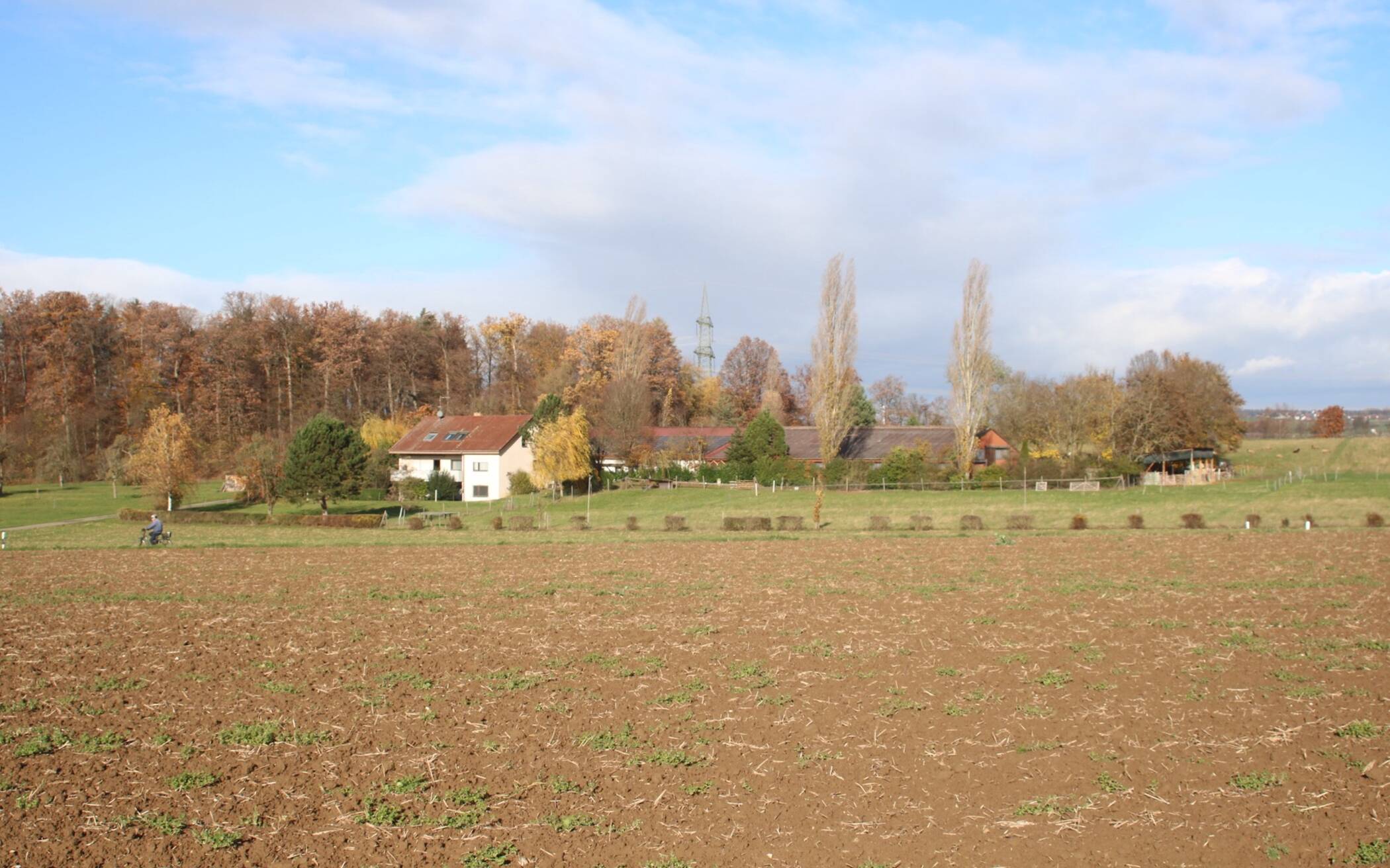 Bild 5