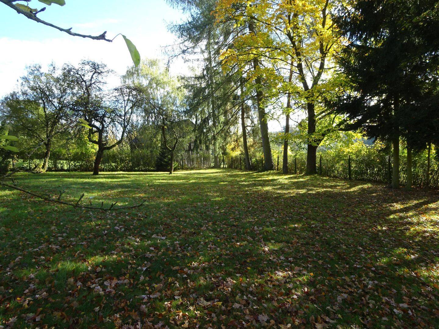 Bild 10