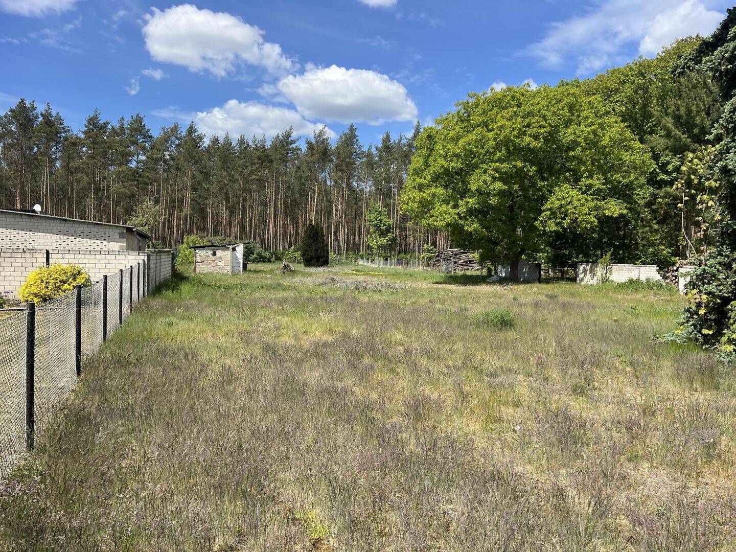 Baureifes großzügiges Grundstück, 14641 Nauen