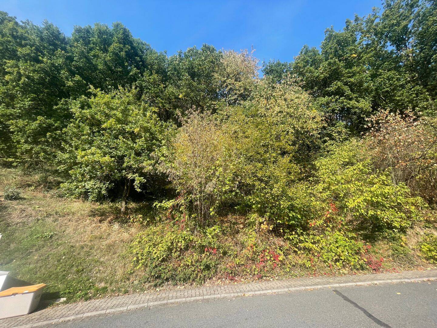 Ein Grundstück mit Weitblick – und vielen Möglichkeiten!, 63834 Sulzbach a. Main