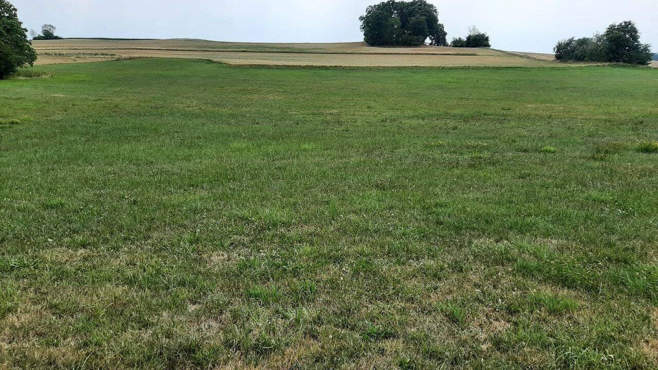 Baugrundstück mit genehmigter Bauvoranfrage für zwei Einfamilienhäuser in Hackenberg, 93170 Bernhardswald