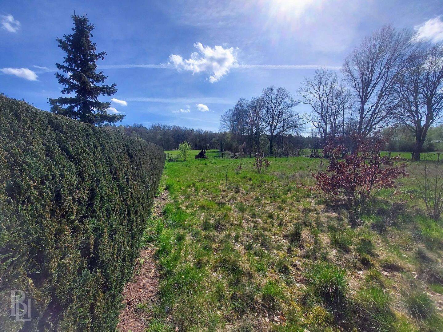 Natur vor der Tür, Berlin in Reichweite – 987 m² Baugrundstück mit unverbaubarem Weitblick, 16775 Löwenberger Land