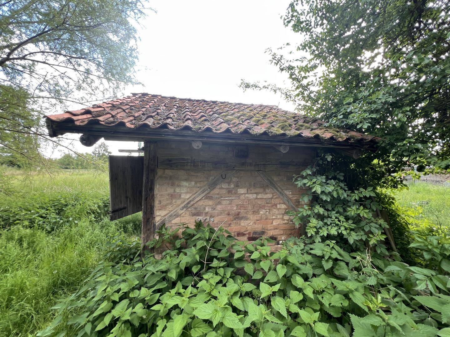 Bild 2
