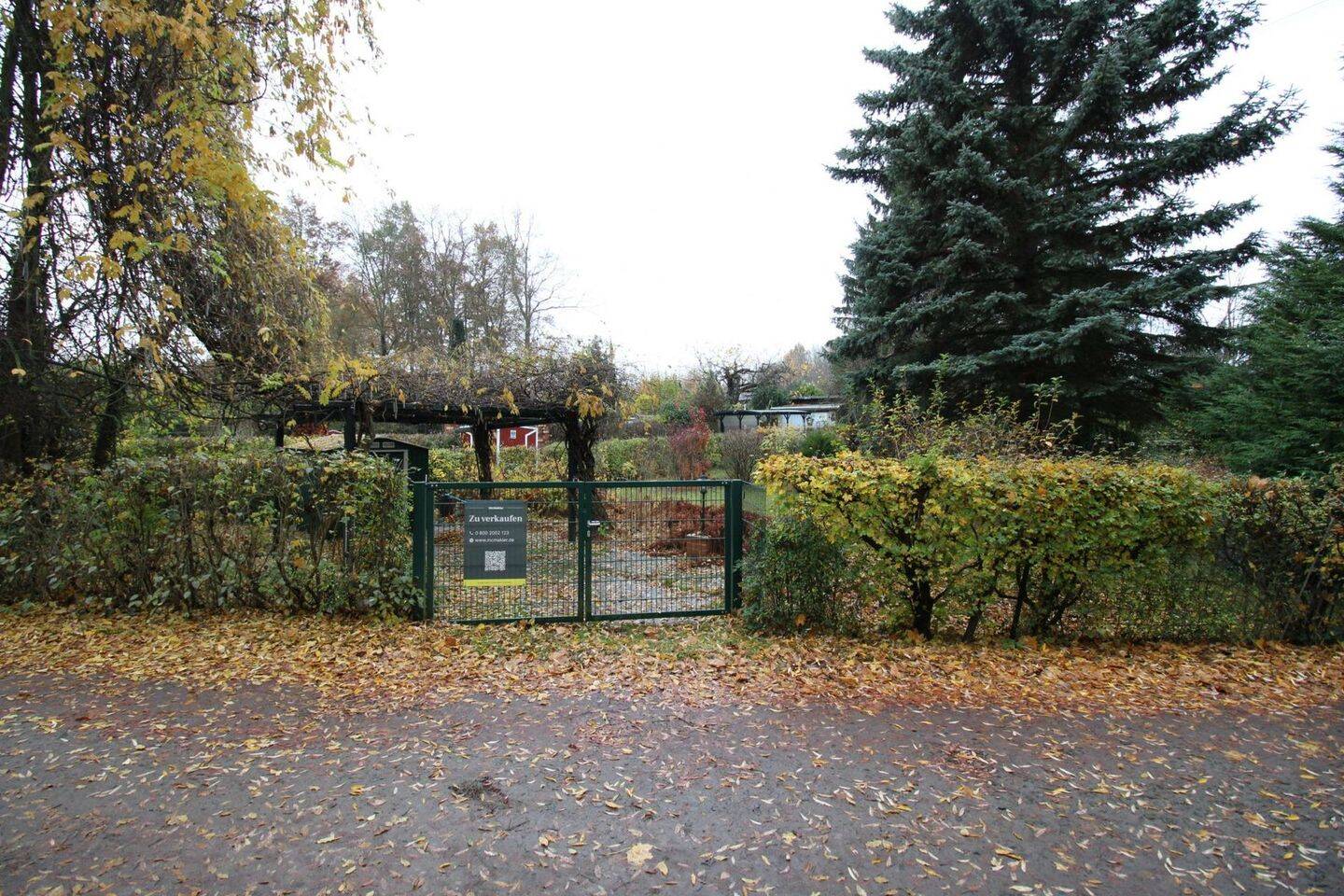 Bild 7