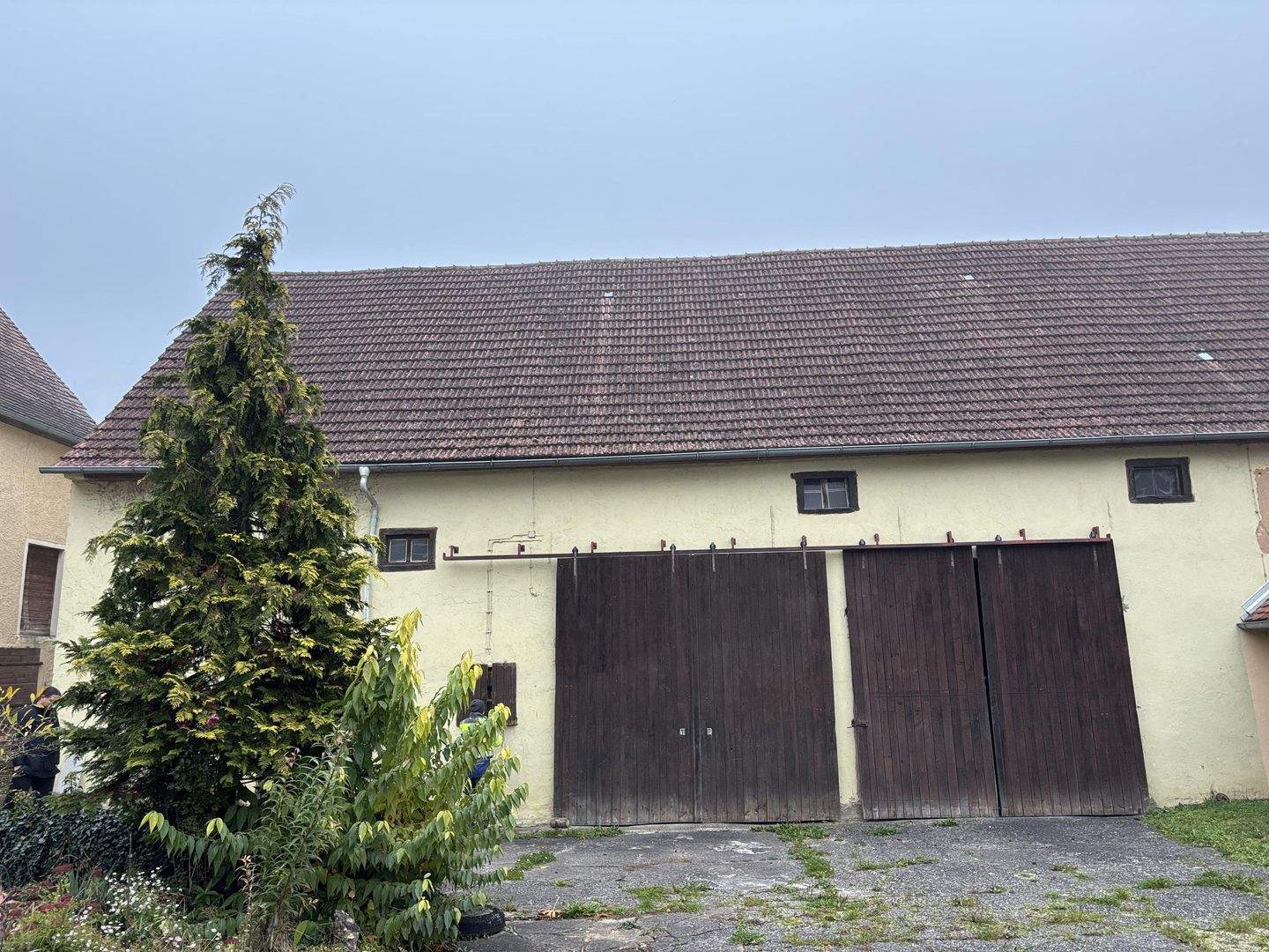 Bild 5
