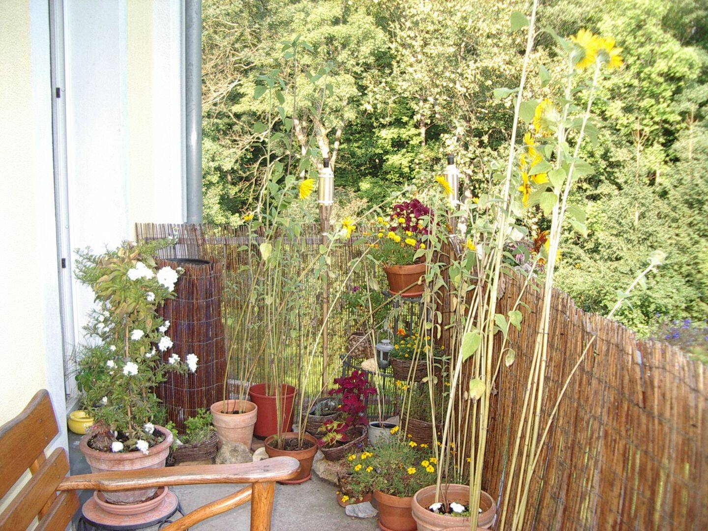 Bild 7