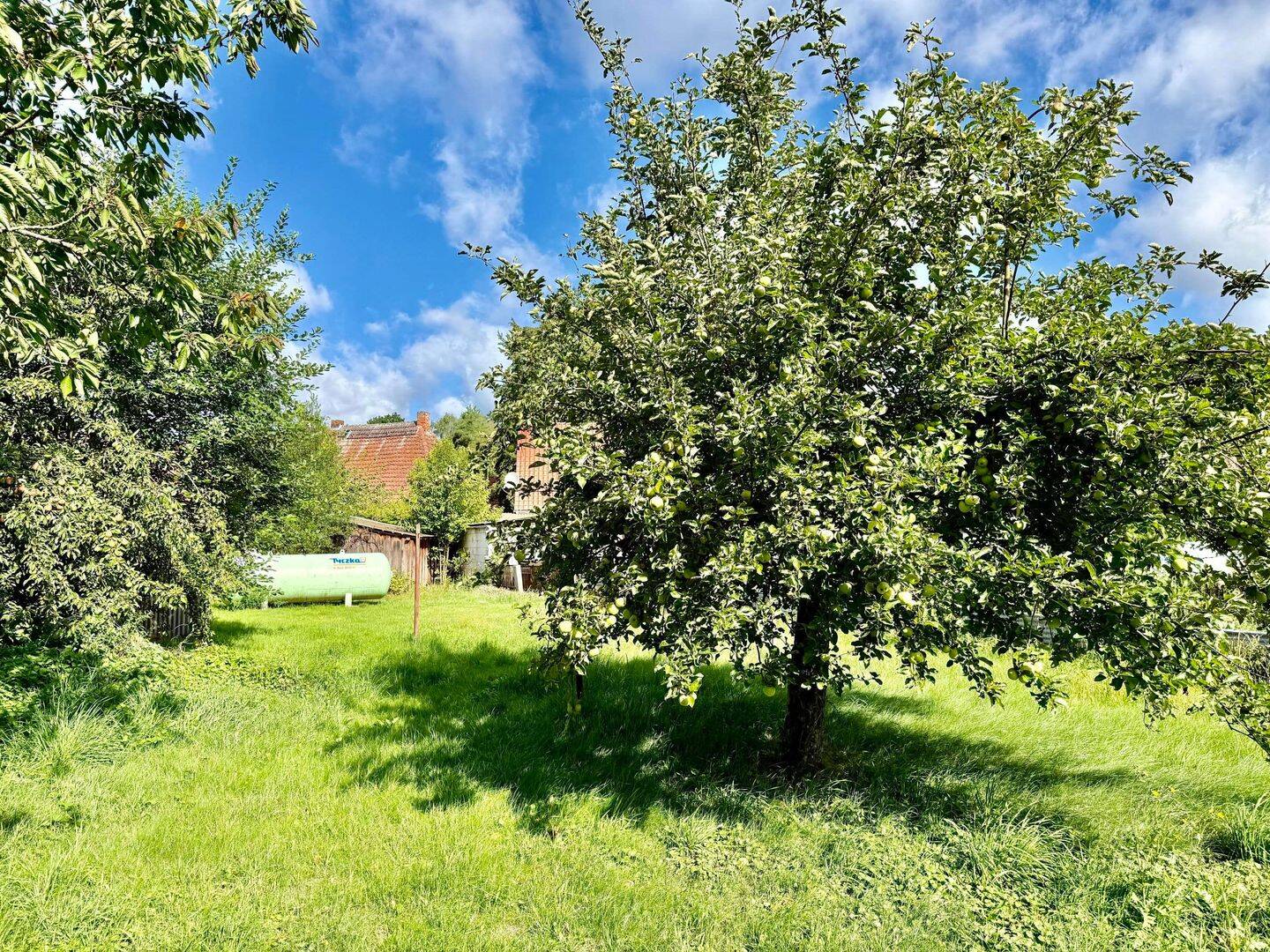 Bild 10