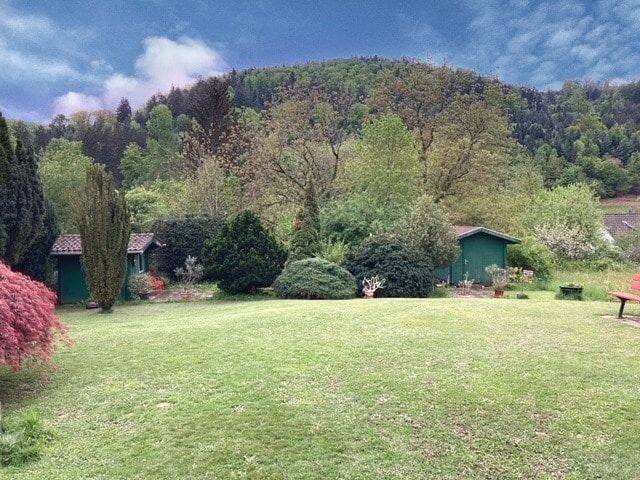Bild 7