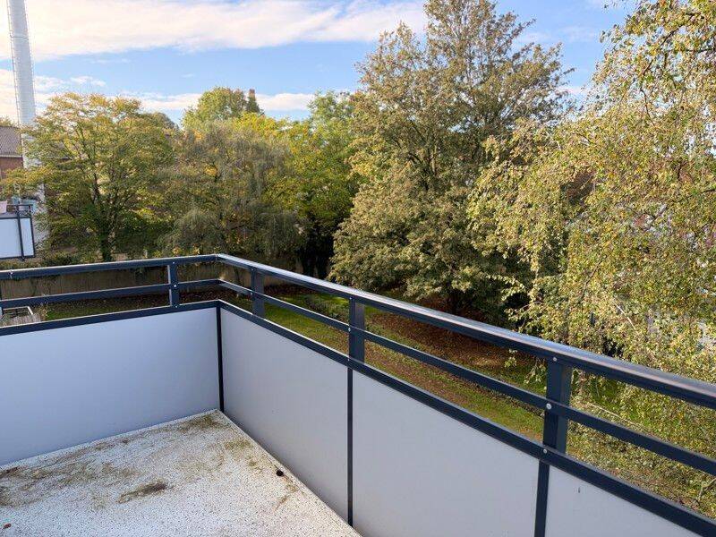 Bild 12