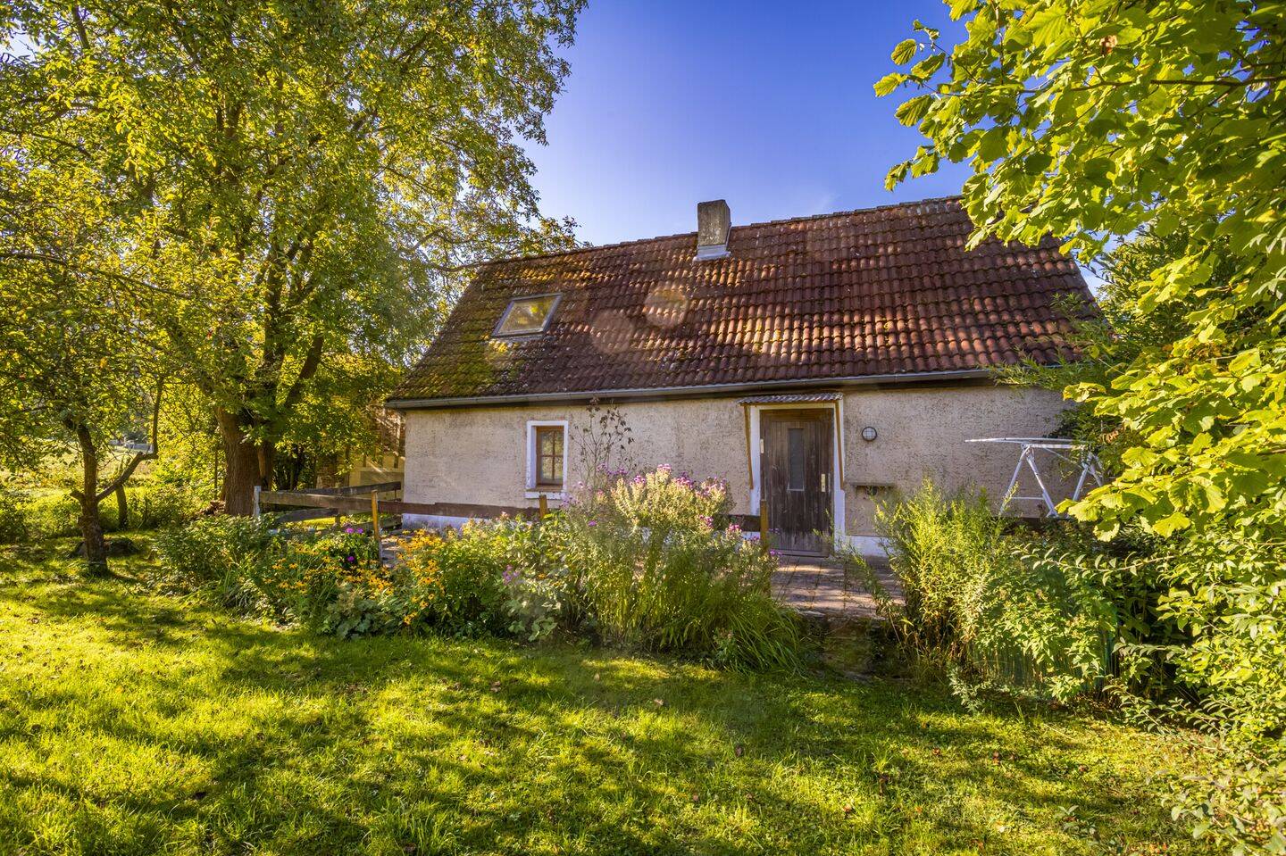 Bild 5