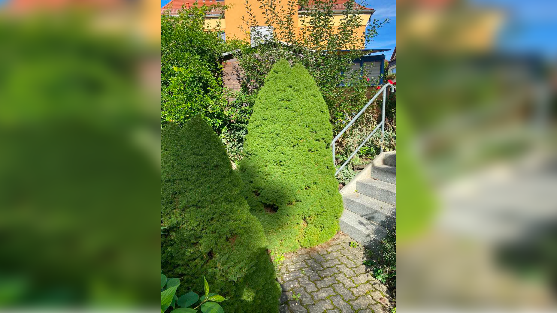 Bild 8