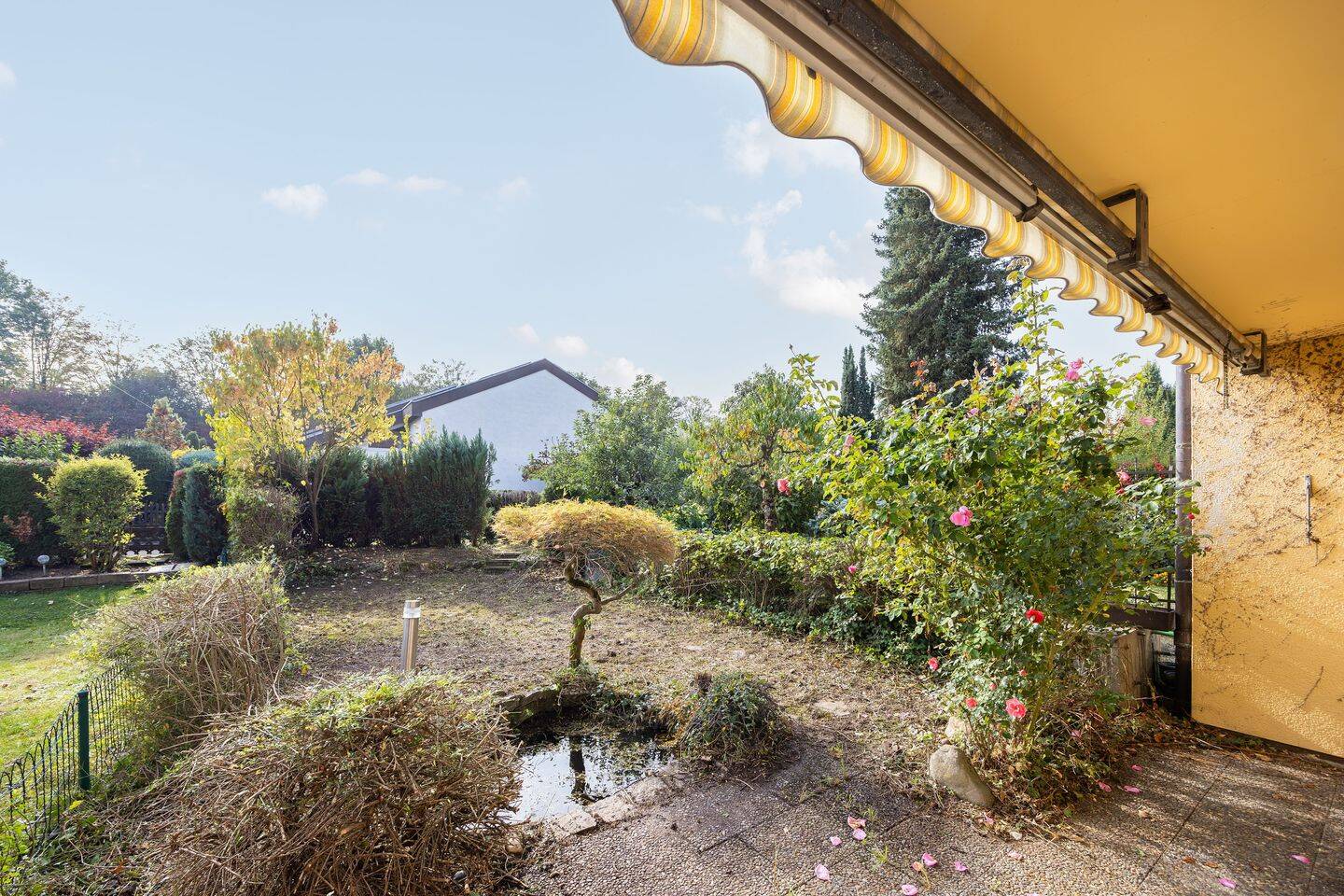 Bild 5