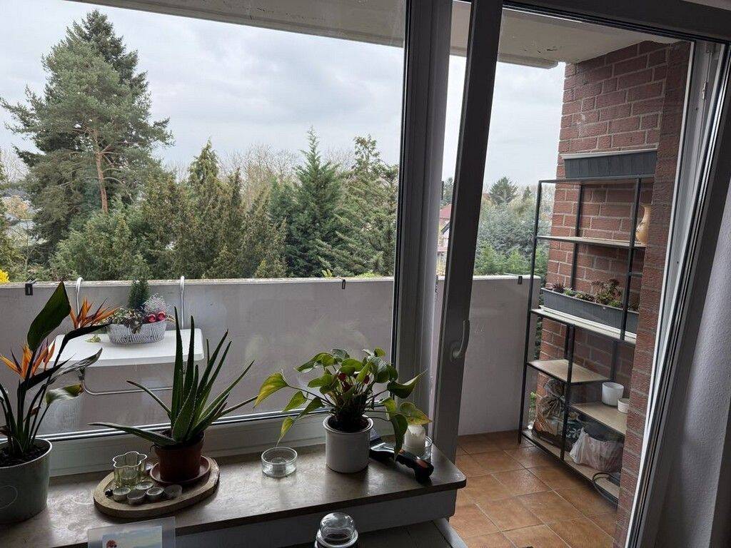 Bild 8